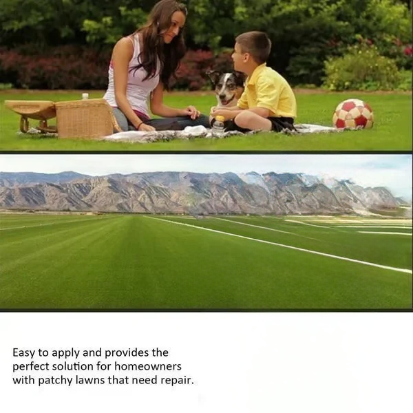 đ„Last Day Promotionđ±Hydro Seeding Lawn Solution